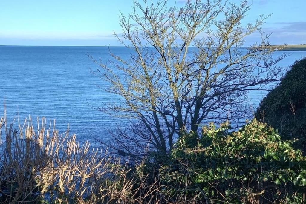 Coast Road Retreat-A Stunning 3 Bed Home In Larne Exterior photo